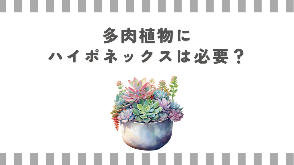 多肉植物にハイポネックスは必要？