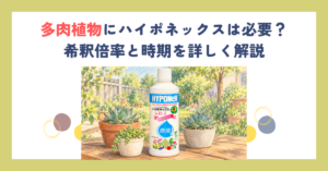 多肉植物にハイポネックスは必要？希釈倍率と時期を詳しく解説