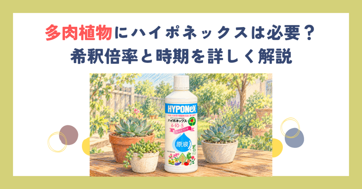多肉植物にハイポネックスは必要？希釈倍率と時期を詳しく解説