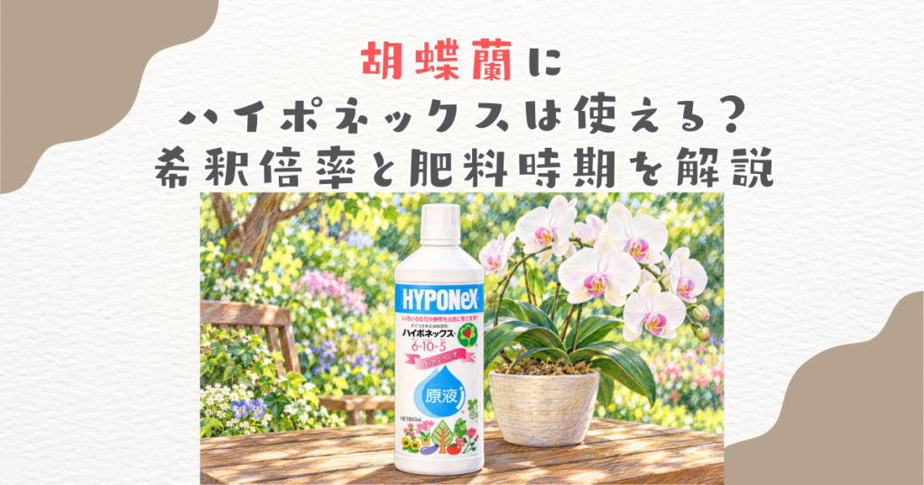 胡蝶蘭にハイポネックスは使える？希釈倍率と肥料時期を解説