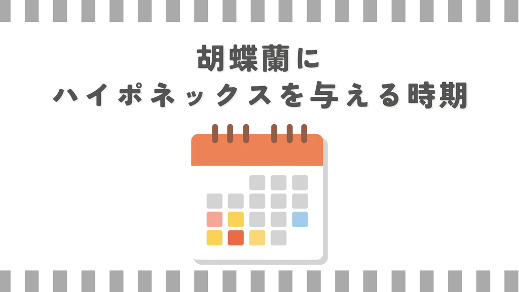 胡蝶蘭にハイポネックスを与える時期