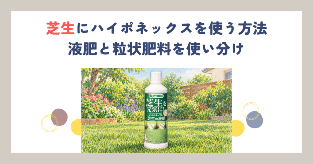 芝生にハイポネックスを使う方法｜液肥と粒状肥料を使い分け