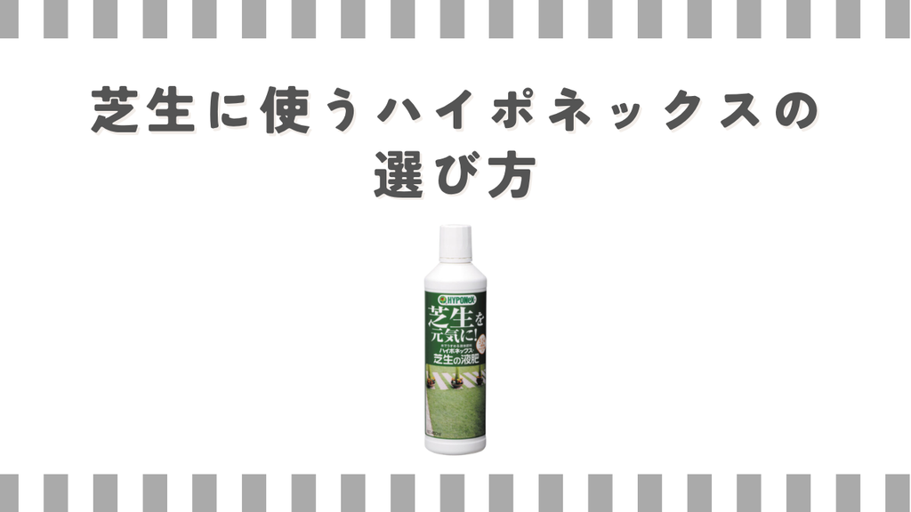 芝生に使うハイポネックスの選び方