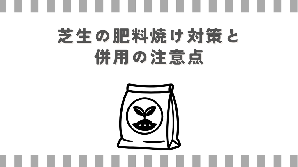 芝生の肥料焼け対策と併用の注意点