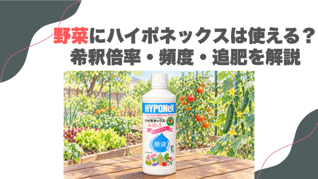野菜にハイポネックスは使える？希釈倍率・頻度・追肥を解説