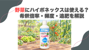 野菜にハイポネックスは使える？希釈倍率・頻度・追肥を解説