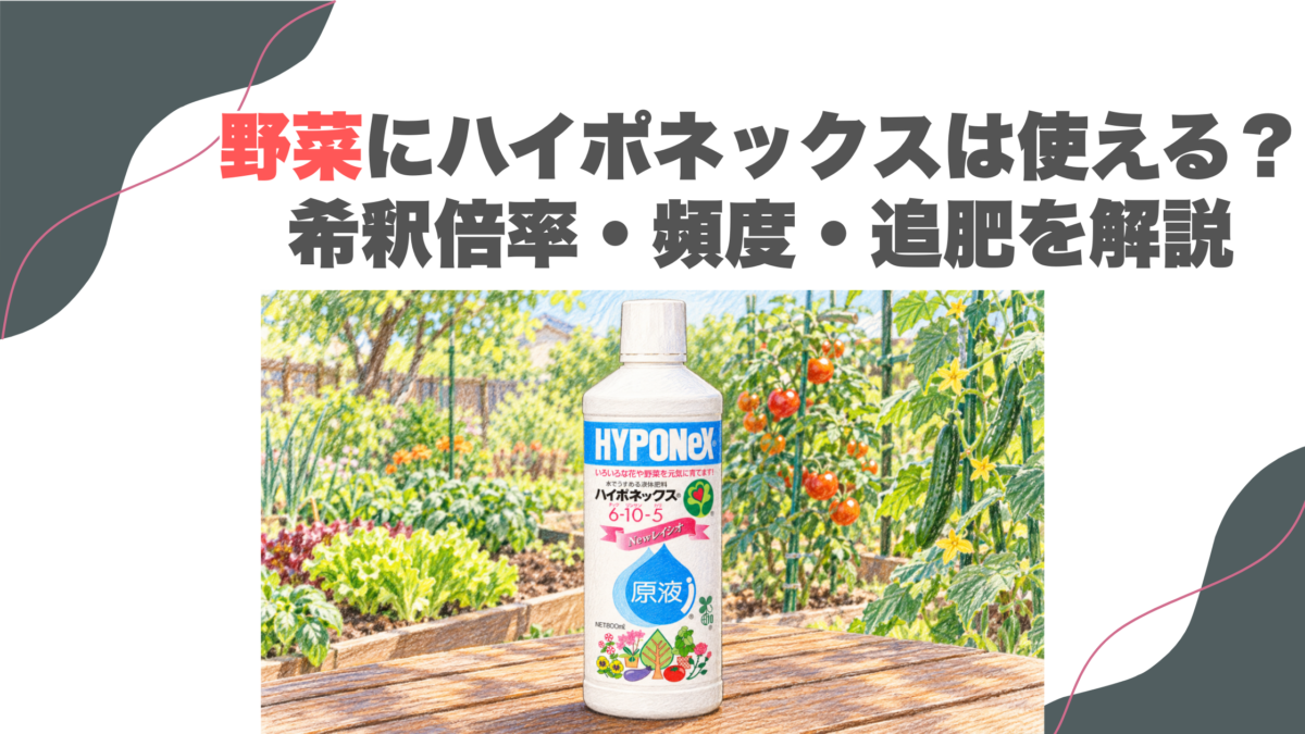 野菜にハイポネックスは使える？希釈倍率・頻度・追肥を解説