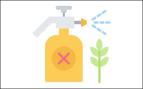 芝生用除草剤の選び方と使用時期